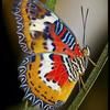 marthagarcia965